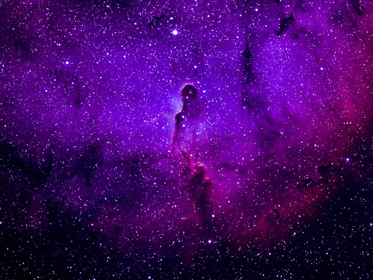 La nébuleuse Trompe d'Eléphant est 
une concentration de gaz et de poussières interstellaires 
dans la région de gaz ionisé beaucoup plus vaste
Distance: 2400 AL.
